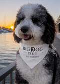 Big Dog Club Bandana Collar — "Size Matters" Pet Bandana